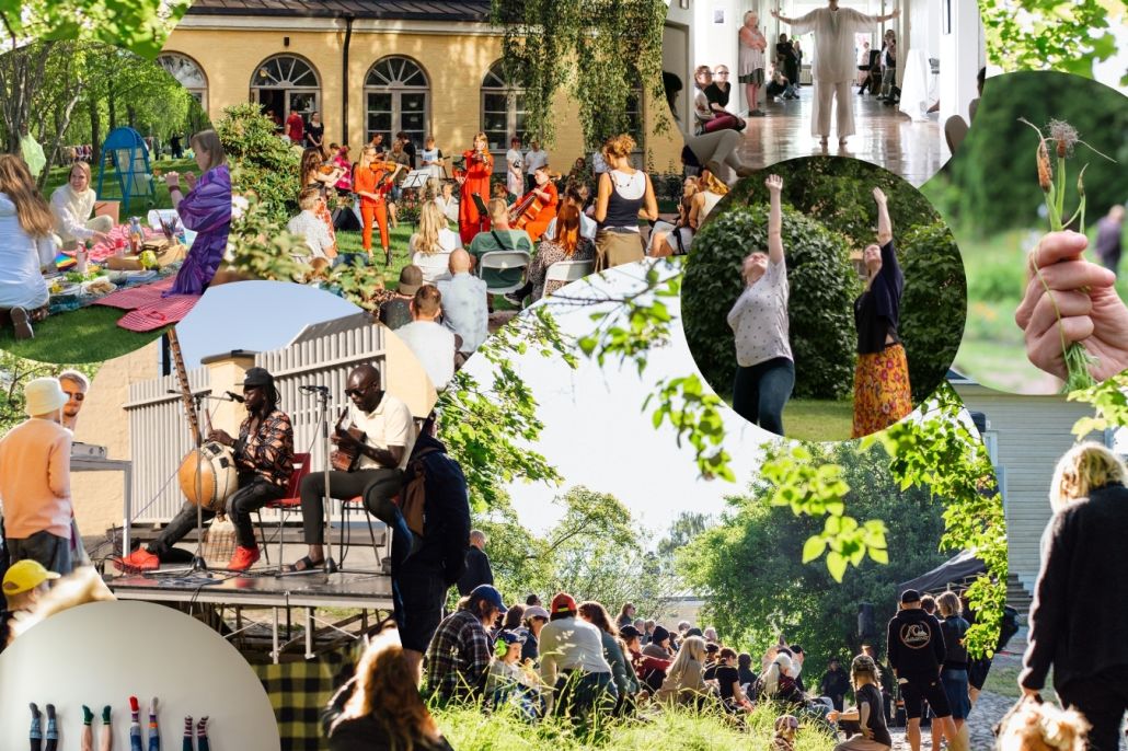 Kollaasi, jossa kuvia musiikki- ja liikuntatapahtumista sekä viljelypalstan porkkanasta.