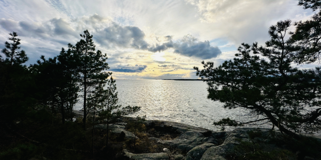 Kuvassa etualalla havupuita, joiden takana näkyy meri ja laskeva aurinko.