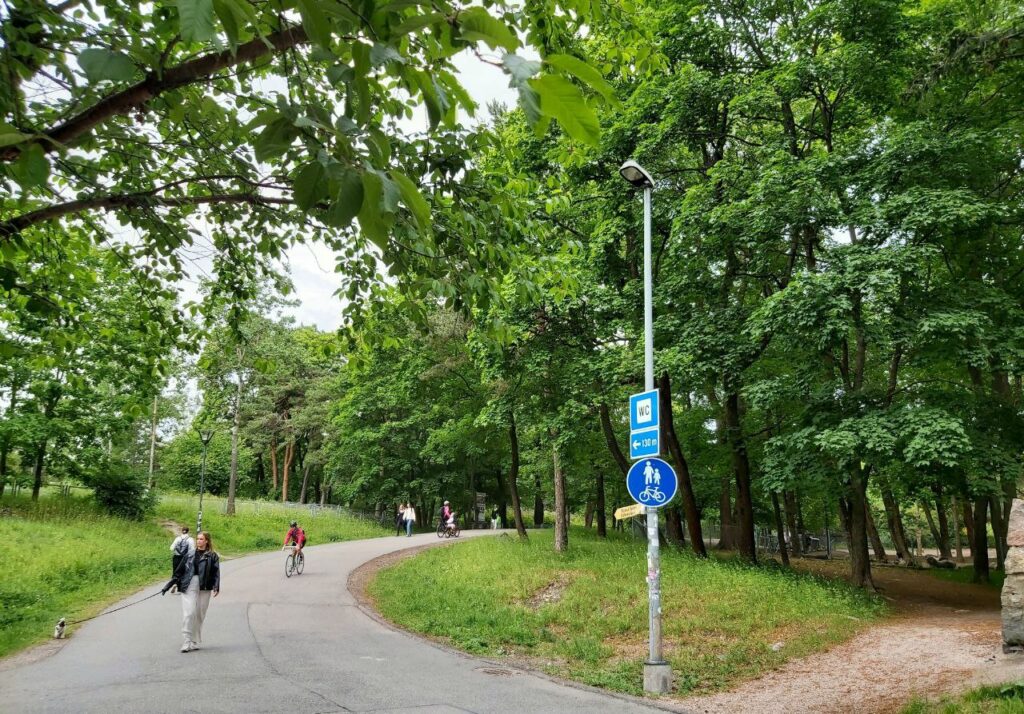 Ilmarisen talon nurkalta otettu kuva puistosta ja kevyen liikenteen väylästä. Kuvassa koiranulkoiluttaja ja muita liikkujia