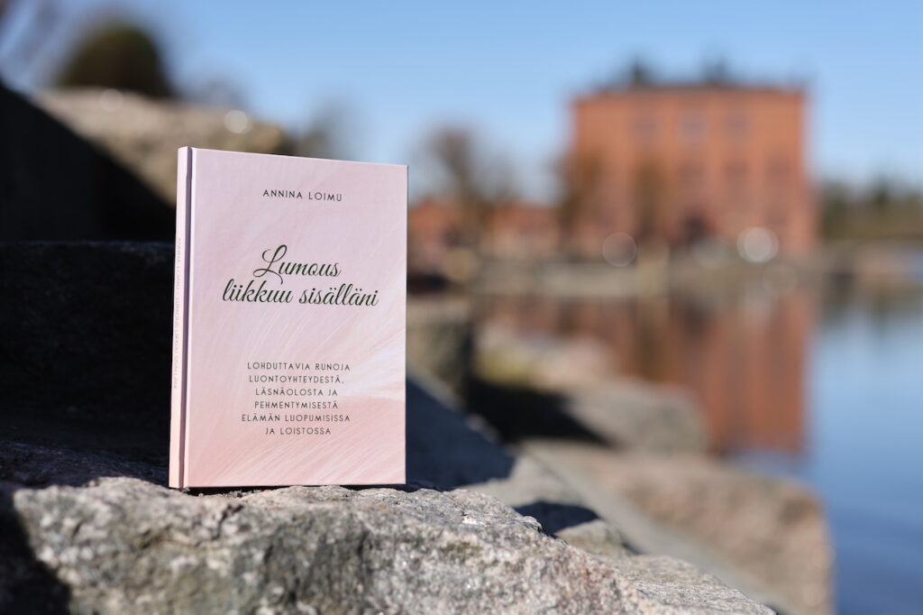 Kuvassa runokirja kallion päällä ulkona.