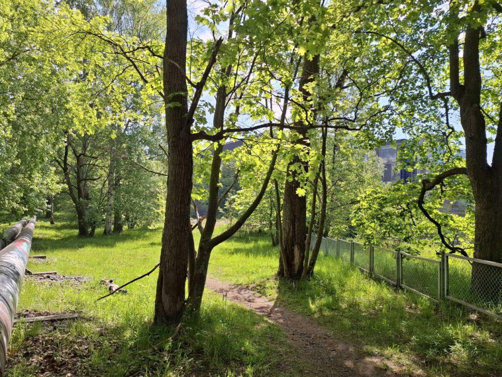 Aurinkoinen vehreä puisto